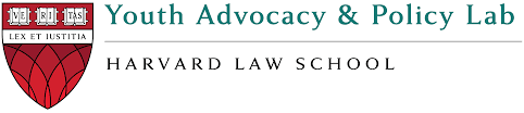 HLS Youth Advocacy and Policy Lab banner